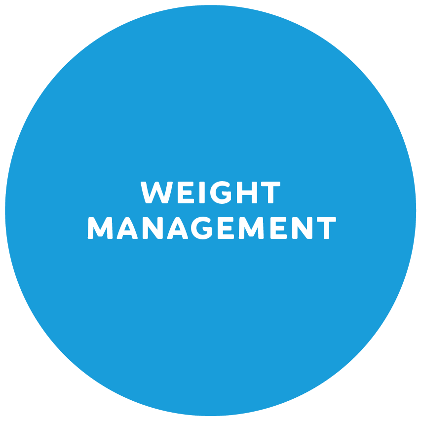 Weight Management Icon