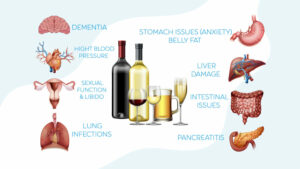 alcohol and the body